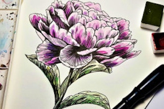 The Art Of Botanical Drawing Botanical Drawing Classes Boston