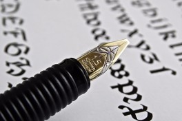 Pointed Pen: Modern Calligraphy