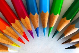 Botanical Illustration Colored Pencils
