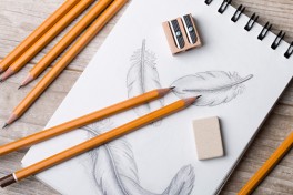 Learn to Draw: An Introduction (Self-Paced)