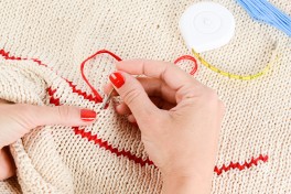 Elevate Your Overlocking (Hands-On Workshop with Sandra Swick)