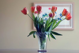 What To Do With Your Trader Joe's Flowers