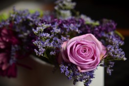Outdoor Class-What to do with your Trader Joe's flowers