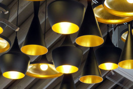 Understanding Light & Light Modifiers (Self-Paced)