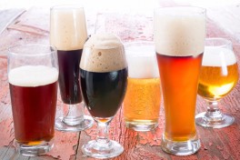 Brewery Tour