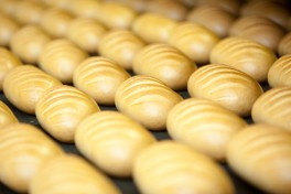 Ciabatta Workshop