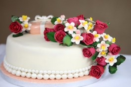 Wilton Method Decorating Basics Course 1 Cake Decorating