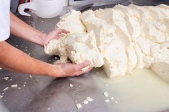Fresh Mozzarella Made Simple and from Scratch