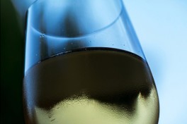 World of Pinot Noir