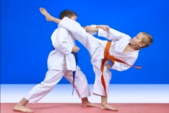 Advanced Karate & Kobudo (All Ages)