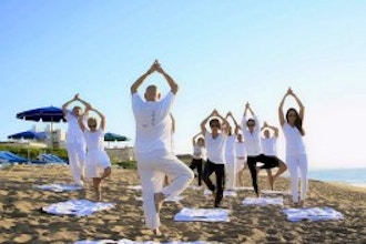Hatha Yoga Foundations: Yoga 1 - Beginner's