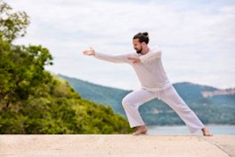 Qi Gong Conditioning [Class in Houston] @ Hines Center for