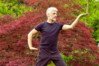 Tai Chi & Qi Gong for Health & Well-Being