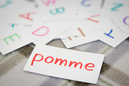 Kids French Intermediate 1 (Ages 11-14)