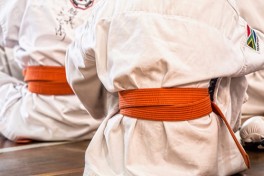 Tiger Cubs Mommy & Me Karate: Ages 2-4