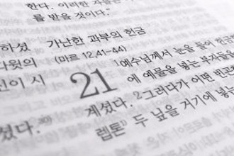 New Beginner 101 Korean Language (Adult)