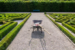 Preparing Your Garden For Fall Garden Classes New York