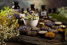 Intro to Herbal Medicine