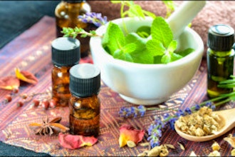 Plant Medicine for Healing Health Practitioners