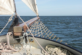 Hobie Cat Sailing Sailing Lessons San Diego Coursehorse Mission Bay Aquatic Center