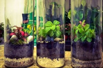 Classic Terrarium Workshop