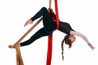 Aerial Open Gym