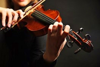 30-Minute Private Violin Lessons 
