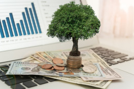 Investment Boot Camp for Safe and Profitable Investing