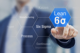 Combo Lean Six Sigma Green Belt and Black Belt