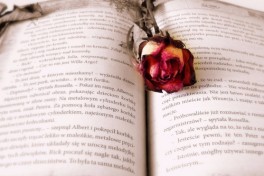 Introductory Workshop on Embodied Storytelling