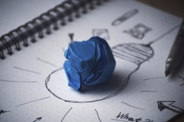 Executive Workshop: Managing Growth, or Managing Chaos?