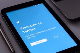 Online: Twitter Basics