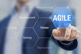 Agile Leadership and Strategy