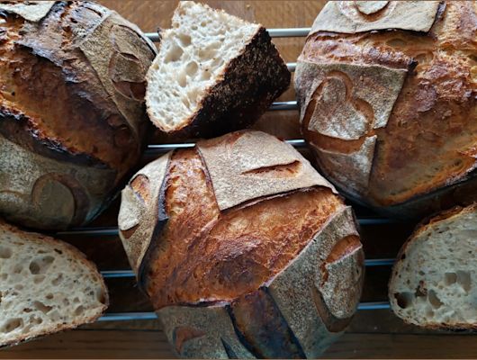 Intro to Sourdough