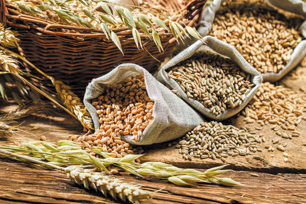 Advanced Bread: Whole Grains