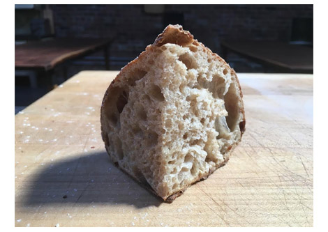 Bread: Basics
