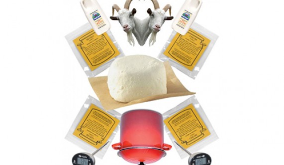 Chevre Making
