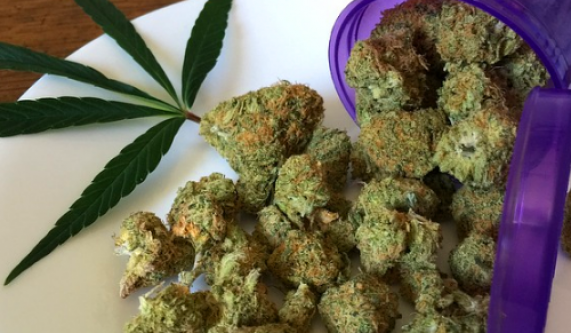 Cooking with Cannabis
