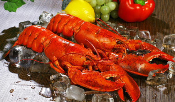 Shellfish with Greenpoint Fish and Lobster (Intensive)
