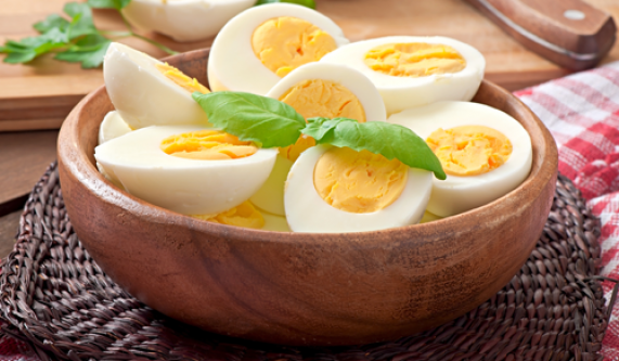 All About Eggs: An Eggucation