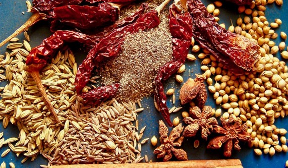 Indian Cuisine