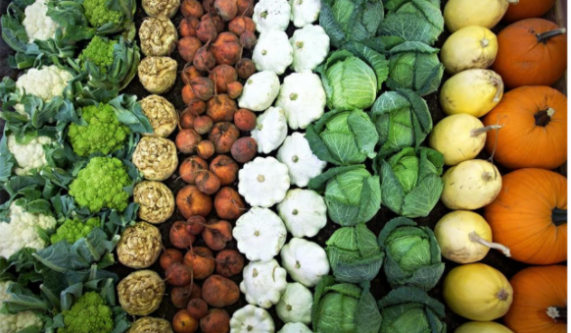 Eat Your Veggies