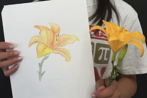 Watercolor 101 Art Camp (Ages 8-14)