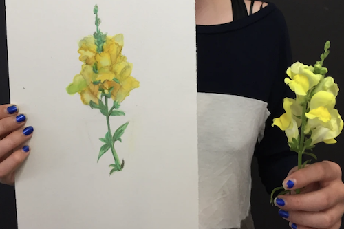 Watercolor 101 Art Camp (Ages 8-14)