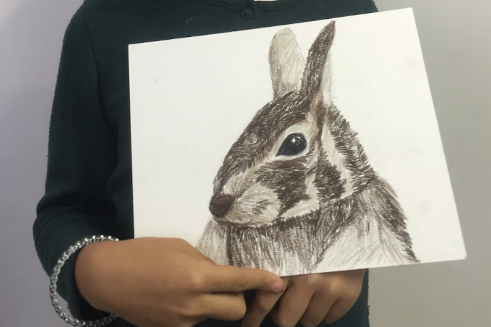 Sculpt and Draw Animals Art Camp (Ages 6-10)