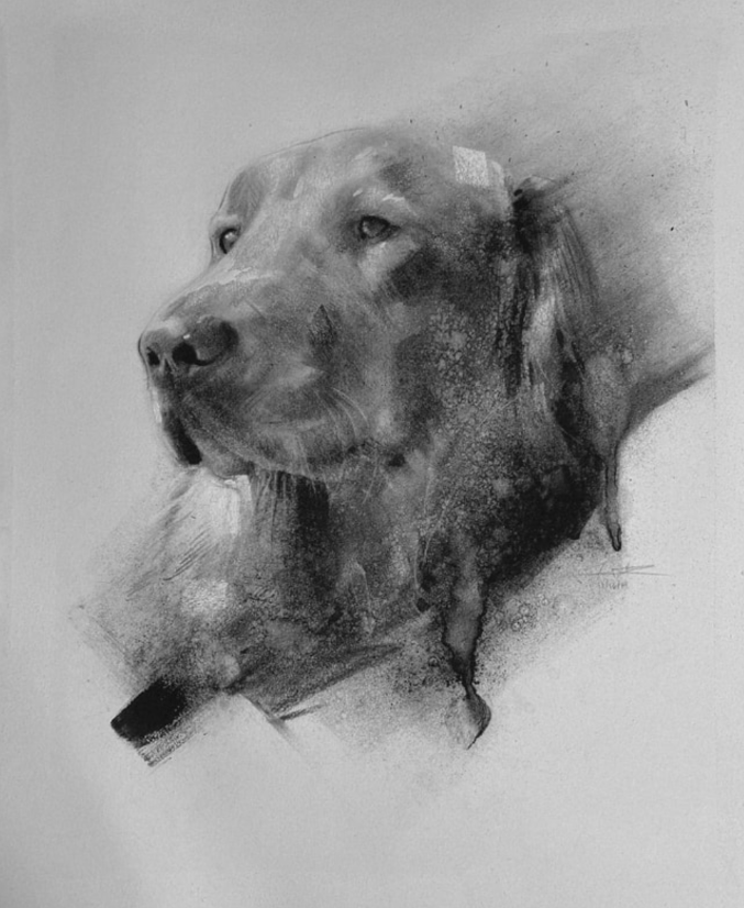 Charcoal Camp (Ages 12-18)