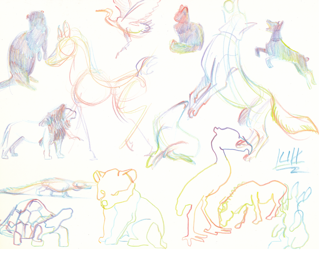 Animal Drawing