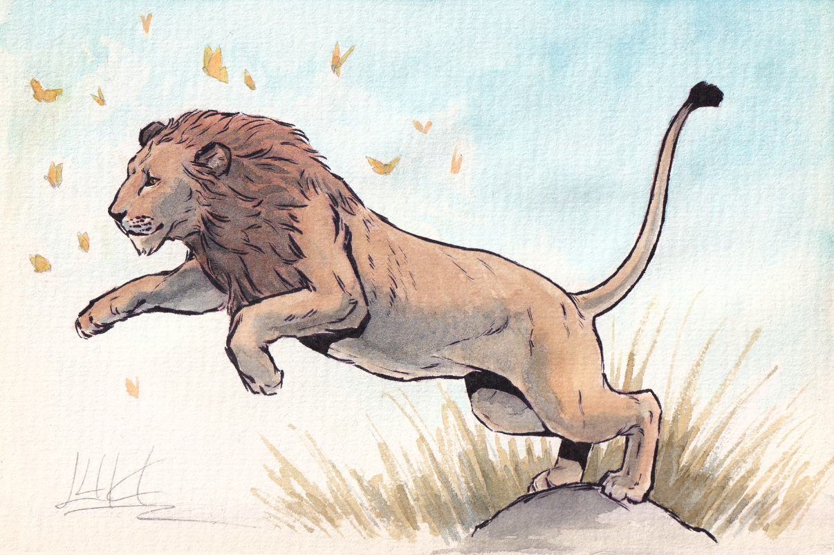 Animal Drawing