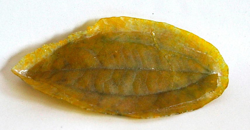 Pâte de Verre: Moulds Frits EXTRAVAGANZA