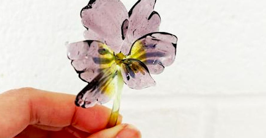 Imagining Botanical forms